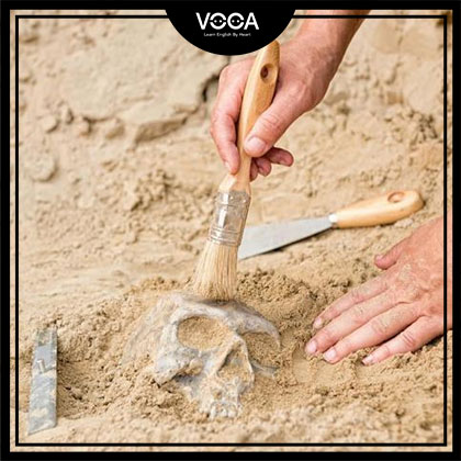 Science and Technology 3